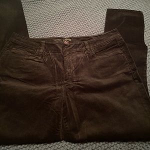 Ann Taylor black velvet pants size 14